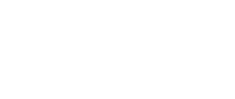 Revolution Network